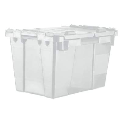 ORBIS CORP FP06 CLEAR