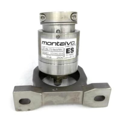 MONTALVO 12000962-0004