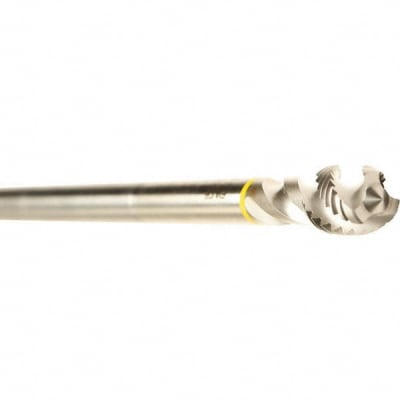 EMUGE C2501000.0060