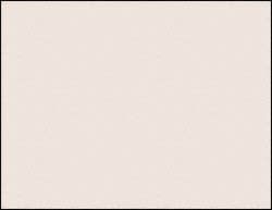 CLEANTEAM 100-95-501W