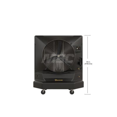 BIG ASS FANS 810013334906