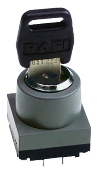 RAFI 3.13.026.036/0000