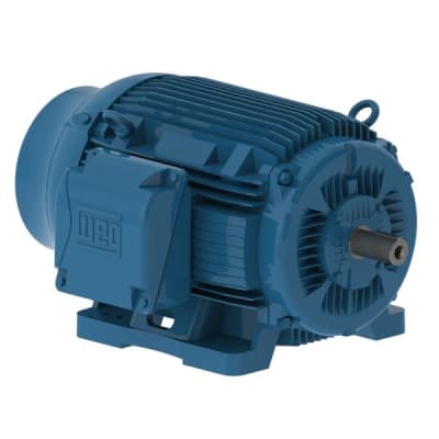 WEG 15018ET3G445T-W22