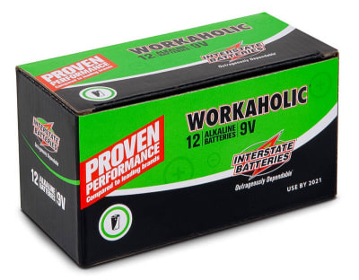 INTERSTATE BATTERIES DRY0196