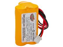 INTERSTATE BATTERIES NIC2423