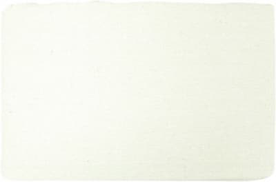 PREMIER PAINT ROLLER 34158