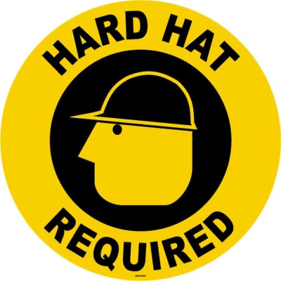 PRO SAFE INC PS-FS-17-313