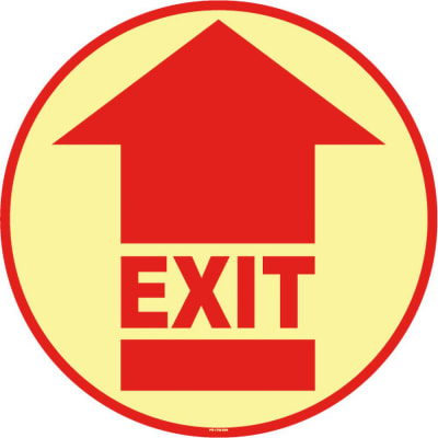 PRO SAFE INC PS-FSG-17-609