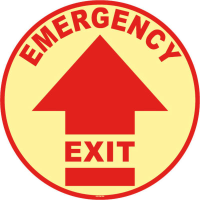 PRO SAFE INC PS-FSG-17-703