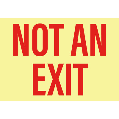 PRO SAFE INC PS-SGN-GLW-202