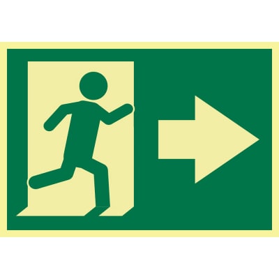 PRO SAFE INC PS-SGN-GLW-203