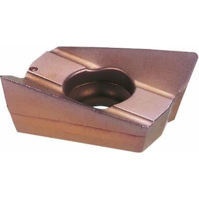 BIG KAISER ARG250904-ACP300