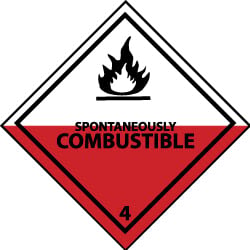 NMC SAFETY DL21ALV