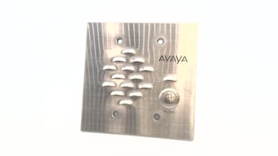 AVAYA LUADS