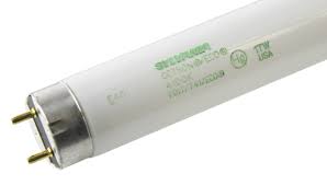 OSRAM FO17/741/ECO