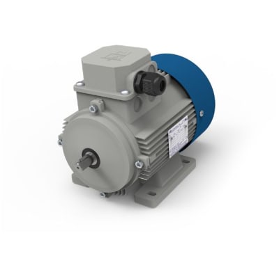 MOTORI ELETTRICI TN80B/4 IE2 14