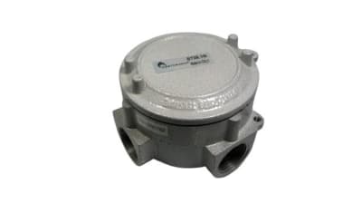 CORTEM GROUP ST26.1N