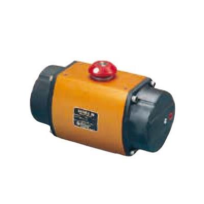 FLOWSERVE 20IF39SZMS PBC 24 VDC