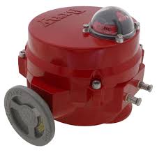 BRAY 70E061-113G0536/K