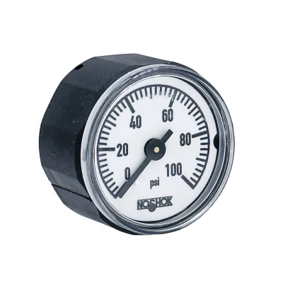NOSHOK 10-110-100-PSI-R1/8