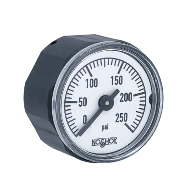 NOSHOK 10-110-250-PSI