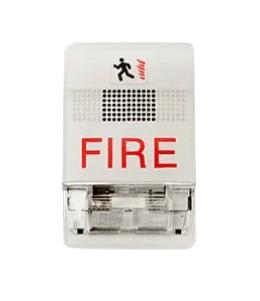 EDWARDS SIGNALING G1F-CVM