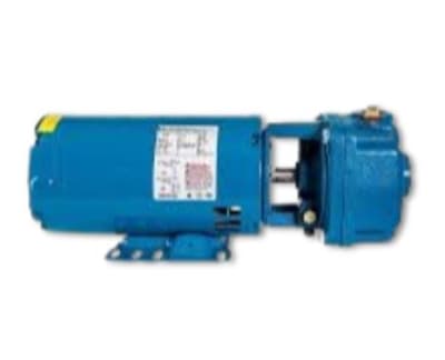 CRANE PUMPS & SYSTEMS INC 111564