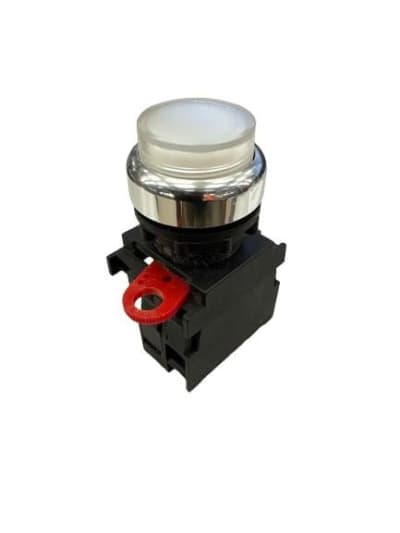 OMRON A22RL-TW-24A-10A