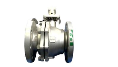 FNW VALVE CORP FNW600BP