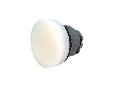 SCHNEIDER ELECTRIC ZB4BV01