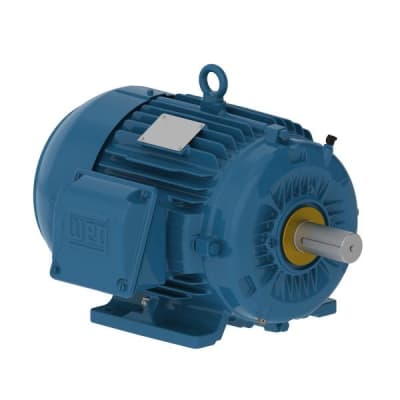 WEG 00736ST3QIE213T-W22