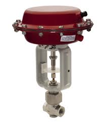 BADGER METER 1004GUN36EVOZ60L36