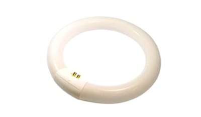 DAMAR 00549A