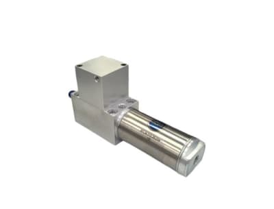 BIMBA BFLM-312.25-DW