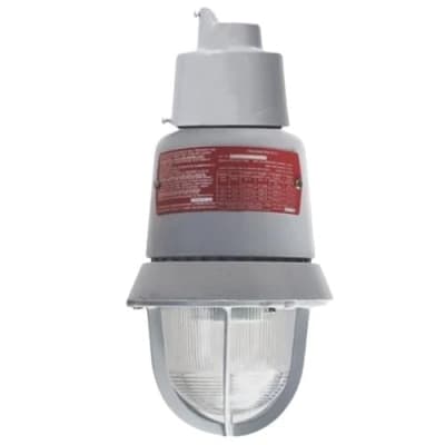 EDWARDS SIGNALING 116DEXMSTC-FJ