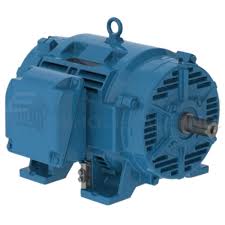 WEG 10036OT3E365TS-W40