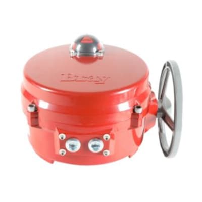 BRAY 70E121-113G0536/K