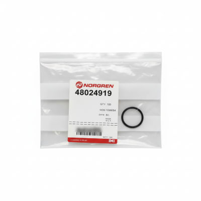 NORGREN 48024919-QTY100