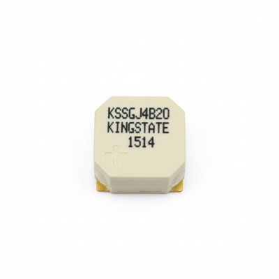 KINGSTATE KSSGJ4B20