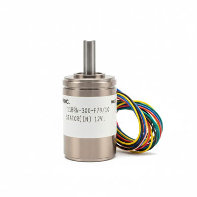 DYNAPAR 11BRW-300-F79/10