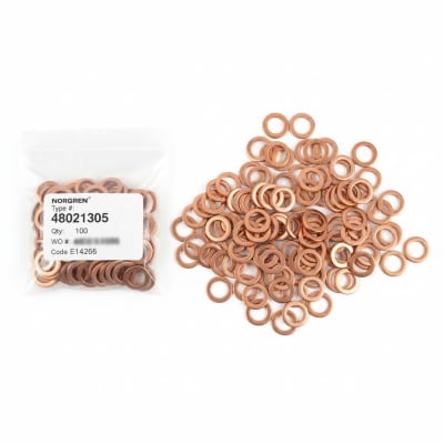 NORGREN 48021305-QTY100