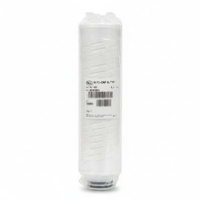 PALL CORPORATION AB1NI3EH1