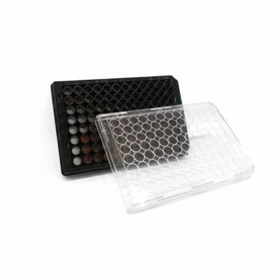 THERMO FISHER SCIENTIFIC 165305-EACH