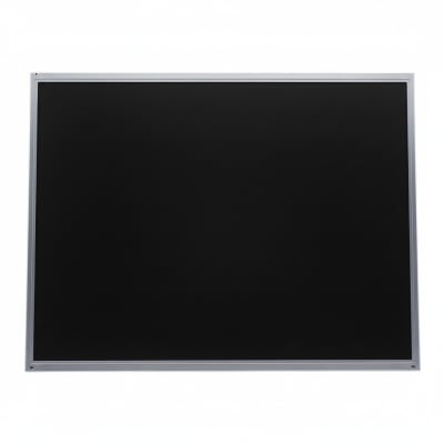 AU OPTRONICS M170EN05 V2