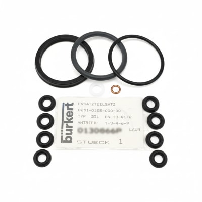 BURKERT 0251-01ES-000-00