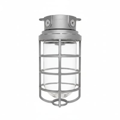 RAB LIGHTING VX200DG