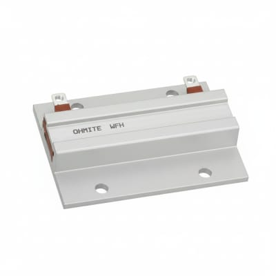 OHMITE WFH160L100JE