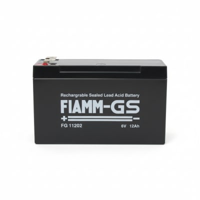 FIAMM FG-11202