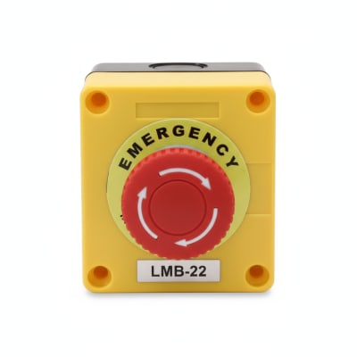 AUSPICIOUS ST-4-LMB-22