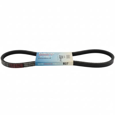 DAYCO B37